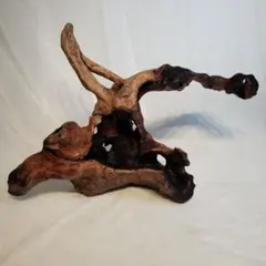 Item thumbnail for item be0ab33c-36f5-42fc-824e-6f8d06c4a160