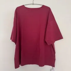 新品未使用 ANTIQUA アンティカ 汗上等Tシャツ Lサイズ unisexのサムネイル