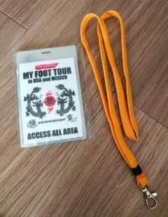 【the pillows】 バックステージパス風グッズ