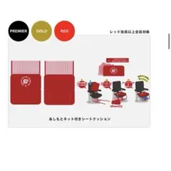 千葉ジェッツ あしもとネット付きシートクッション