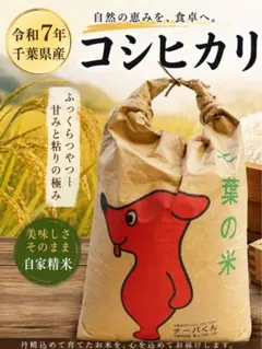 ◎値下げ 令和7年 滋賀県産 コシヒカリ 玄米 - メルカリ