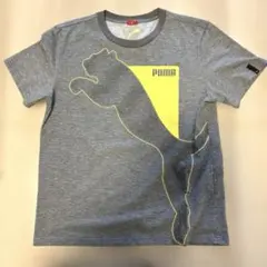 PUMA Tシャツ グレー イエロー ビッグロゴ S2218番のサムネイル