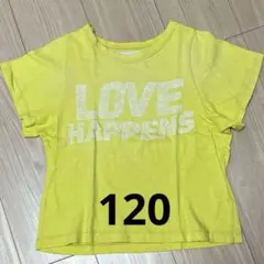 gotohollywood ゴートゥーハリウッド Tシャツ 120のサムネイル