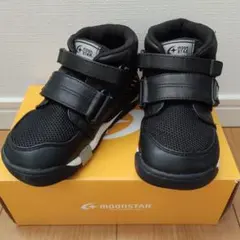 Item thumbnail for item 5a949a20-86b5-4a05-889a-9cd3a9df0d78