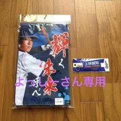 さ*あ様 中日ドラゴンズ 高島屋 BIGカプセルトイ ガチャ マフラー