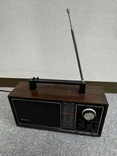 2026年最新】thomson ラジオの人気アイテム - メルカリ