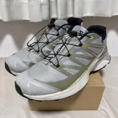 【国内限定カラー】Salomon XT-PATHWAY ゴアテックスのサムネイル