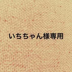 【匿名配送】モンベル　ベスト　レディース　M