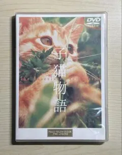 子猫物語（DVD）