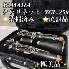 2026年最新】yamaha YCL-25の人気アイテム - メルカリ