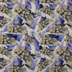 生地  はぎれ   ◆[K-cp31]