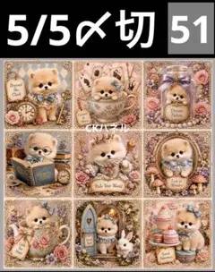 激レア限定３枚シーズパネル生地　ハンドメイド 新柄♥️期間限定レアパネル生地 シーズーパネル生地 6柄セット CK