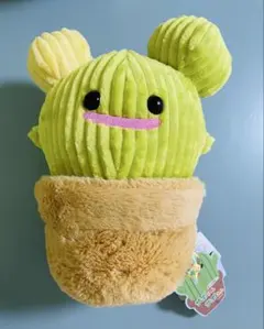 サボテンのサボるーのぬいぐるみ‼️