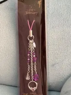 ディズニーリゾート February2月 誕生月 ストラップ ミッキーモチーフ