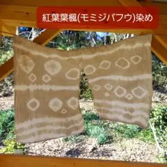 Item thumbnail for item a61d1b60-578a-4bb3-8031-e54d2847a0b6