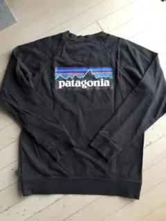 美品　patagonia パタゴニア　トレーナー　M 正規品
