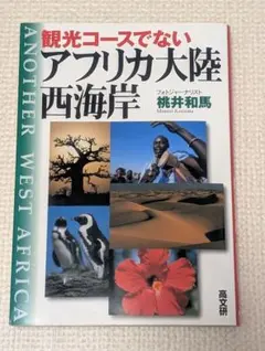 観光コースでないアフリカ大陸西海岸