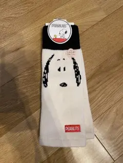 Item thumbnail for item fbc779ca-0dee-46d6-a425-4a48708b2394