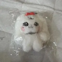 ALD1 サンウォン マスター ぬいぐるみ うさぎ 未開封 - メルカリ