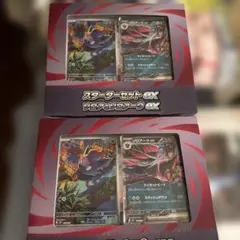スターターセットex ゾロア＆ゾロアークex✖️2