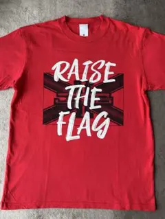 三代目J SOUL BROTHERS⭐︎ RAISE THE FLAG⭐︎TシャツM