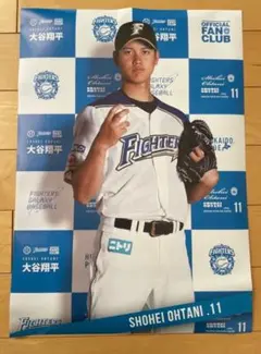 北海道日本ハムファイターズ 大谷翔平 ポスター ファンクラブ限定