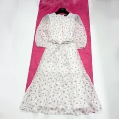【極美品✨】エムズグレイシー ワンピース　花柄　2024年　ボタニカル　38
