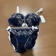 Shake Body ネイビー ブラジャーショーツセット D65のサムネイル