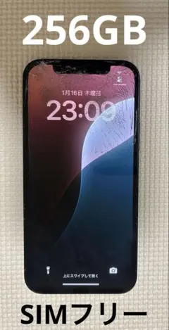 Item thumbnail for item 47770f26-b4b4-46b9-b98b-905df42171db