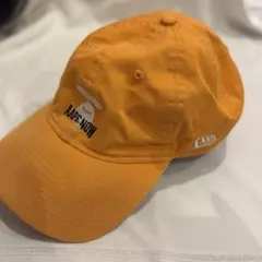 AAPE by Bathing Ape x New Eraのサムネイル