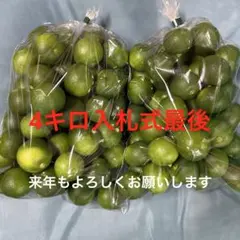 ハウススダチ　家庭用4キロ 入札式のサムネイル
