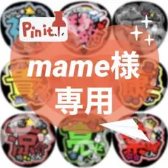 mame様 リクエスト 2点 まとめ商品