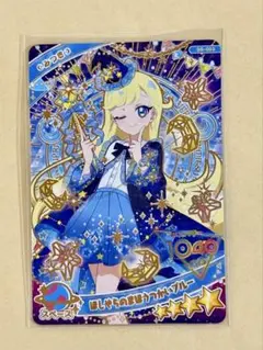 シュレ猫/プロフ必読様 リクエスト 2点 まとめ商品