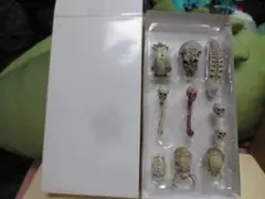 NECA　ネカ　プレデター　アクセサリー　フィギュア　頭蓋骨セット