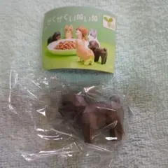 かくかくいぬいぬ カプセルトイ フィギュア　トイプードル