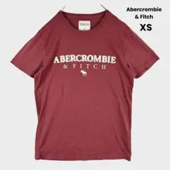 アバクロンビー&フィッチ ロゴTシャツ アメカジ　ボルドー　XS 半袖　ロゴ