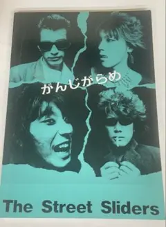 2026年最新】ストリートスライダーズ がんじがらめの人気アイテム