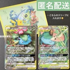 フシギバナ&ツタージャGX SA 1枚 HR 1枚 リミックスバウト - メルカリ