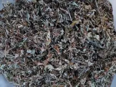 令和8年岩手県産 天然乾燥わらび 1キロ - メルカリ