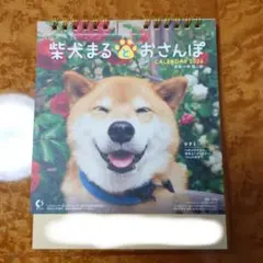 Item thumbnail for item 9aa91cb8-ff99-4c3c-8489-d664e0e64abc