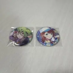 プロジェクトセカイカラフルステージ 缶バッジ 2個セット