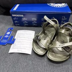 Item thumbnail for item 487bb4f0-cfe6-4574-bc30-e6b5fb70e7c5