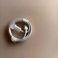 ホワイト USB Type-C 充電ケーブル