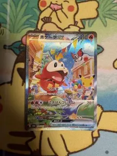 ポケモンカード ホゲータex SAR 30th