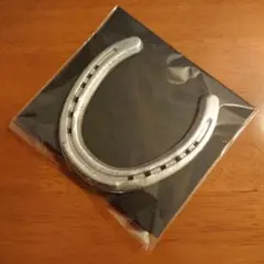 【本物の蹄鉄】馬蹄