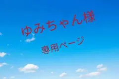ゆみちゃん様専用