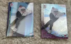 Item thumbnail for item fcc7589b-cb1a-49e5-9e3b-6c1c111d0ef9