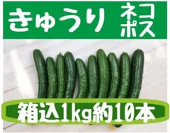 2025年最新】平日発送の人気アイテム - メルカリ