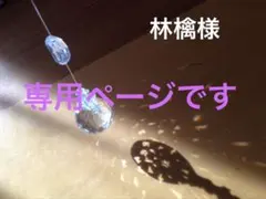 林檎様
