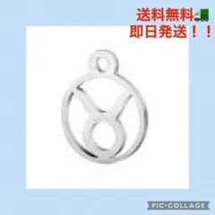 UNICRAFTABLE 316Lチャーム 牡牛座 星座 銀色